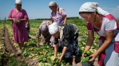 Ритм Евразии: Кыргызстанский потенциал в ЕАЭС повысит село